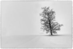 2015 01 01 Sihlsee Swc 3769